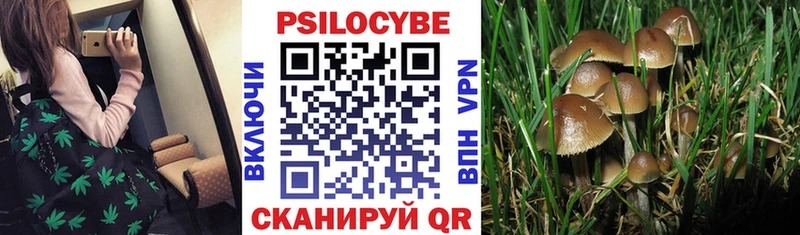 Галлюциногенные грибы MAGIC MUSHROOMS  Купить где  Мостовской 